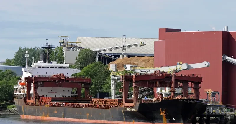 ORINOCO PEARL General Cargo IMO 8130291 photo 6