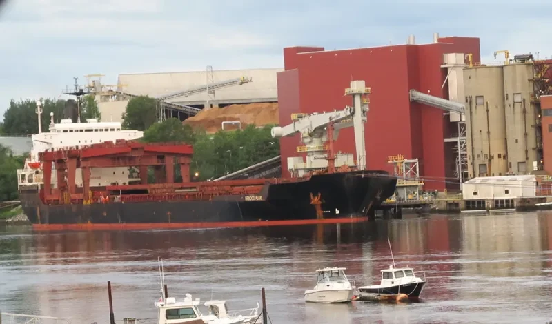 ORINOCO PEARL General Cargo IMO 8130291 photo 7
