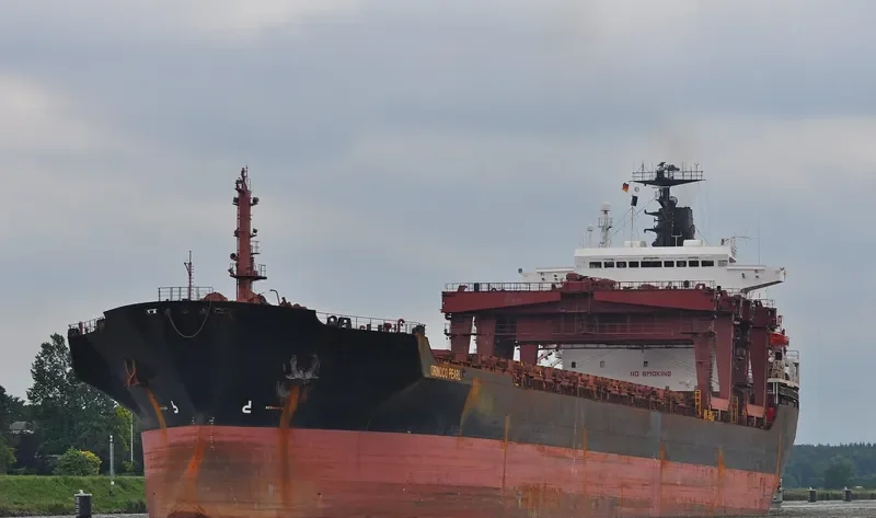 ORINOCO PEARL General Cargo IMO 8130291 photo 8