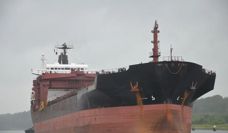 ORINOCO PEARL General Cargo IMO 8130291 photo 10