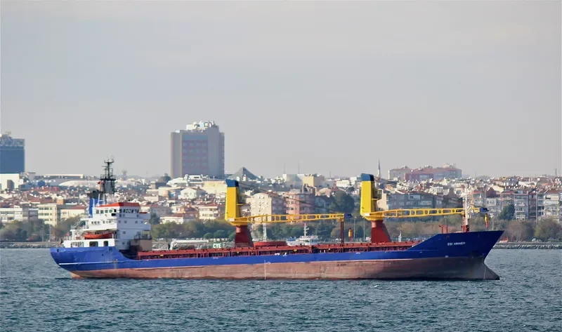 ESI WINNER General Cargo IMO 8131312