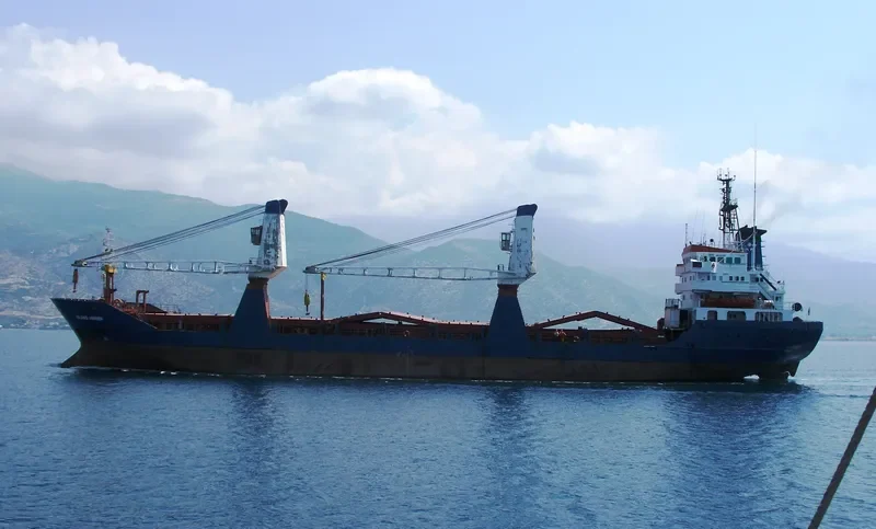 ESI WINNER General Cargo IMO 8131312 photo 6