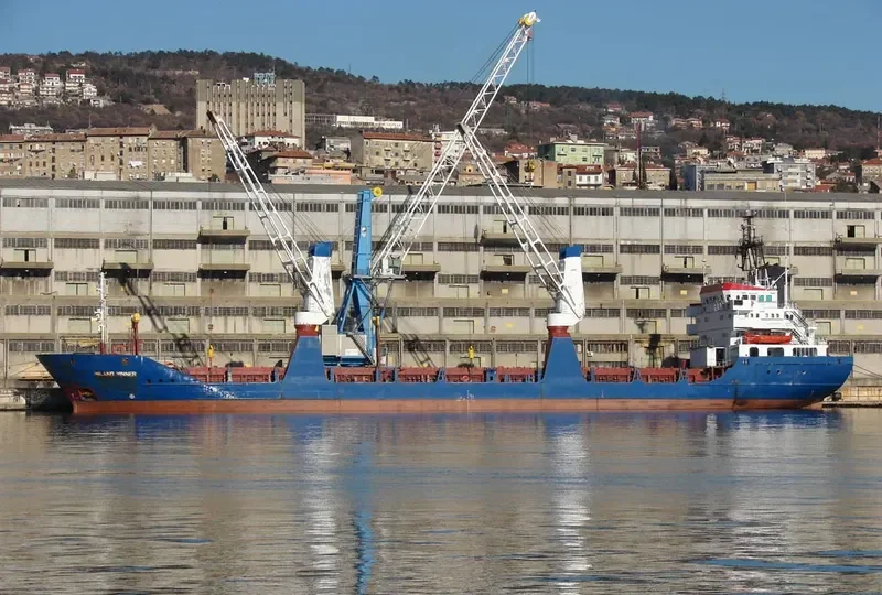 ESI WINNER General Cargo IMO 8131312 photo 7