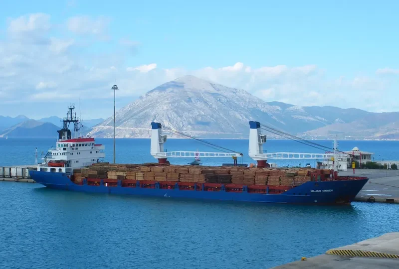 ESI WINNER General Cargo IMO 8131312 photo 9