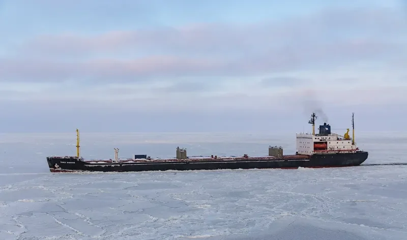 PAVEL VAVILOV Bulk Carrier IMO 8131893