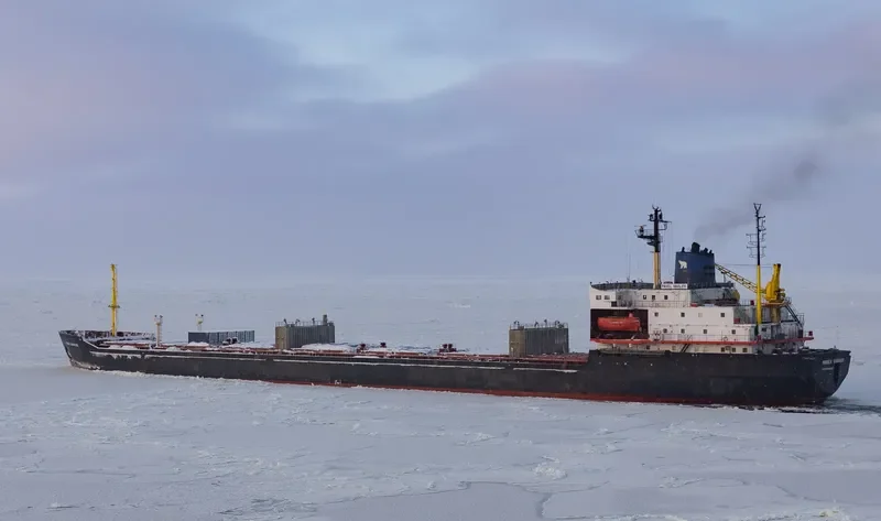 PAVEL VAVILOV Bulk Carrier IMO 8131893 photo 2