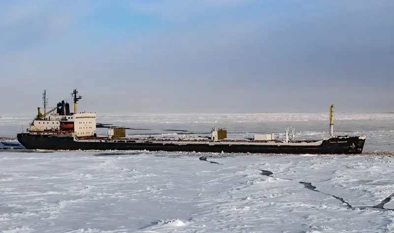 PAVEL VAVILOV Bulk Carrier IMO 8131893 photo 3