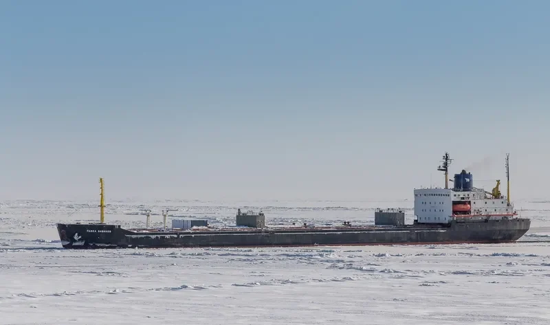PAVEL VAVILOV Bulk Carrier IMO 8131893 photo 4