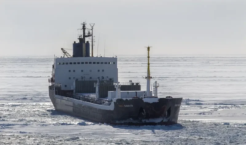 PAVEL VAVILOV Bulk Carrier IMO 8131893 photo 5