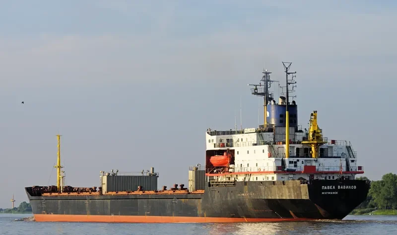 PAVEL VAVILOV Bulk Carrier IMO 8131893 photo 6