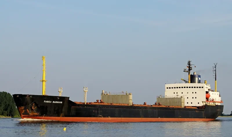 PAVEL VAVILOV Bulk Carrier IMO 8131893 photo 7