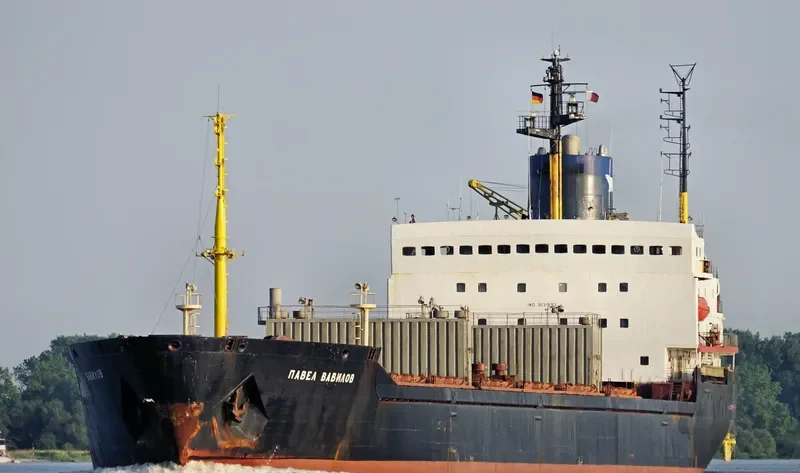 PAVEL VAVILOV Bulk Carrier IMO 8131893 photo 8