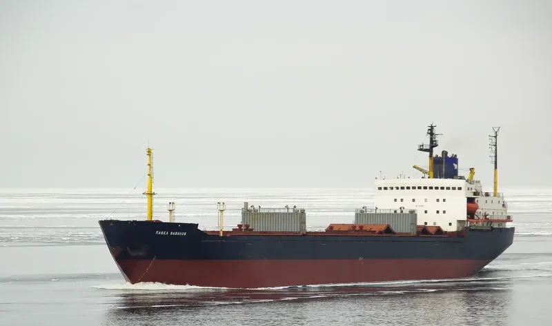 PAVEL VAVILOV Bulk Carrier IMO 8131893 photo 9