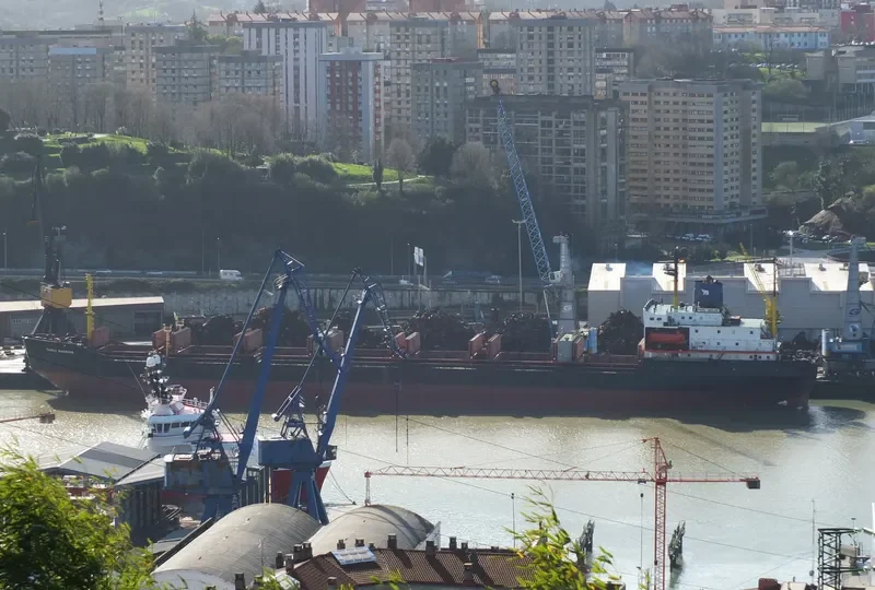 PAVEL VAVILOV Bulk Carrier IMO 8131893 photo 10