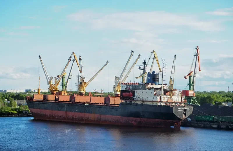 CHARM Bulk Carrier IMO 8131934