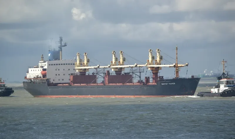 CHARM Bulk Carrier IMO 8131934 photo 2