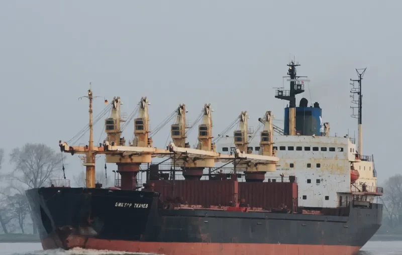 CHARM Bulk Carrier IMO 8131934 photo 4