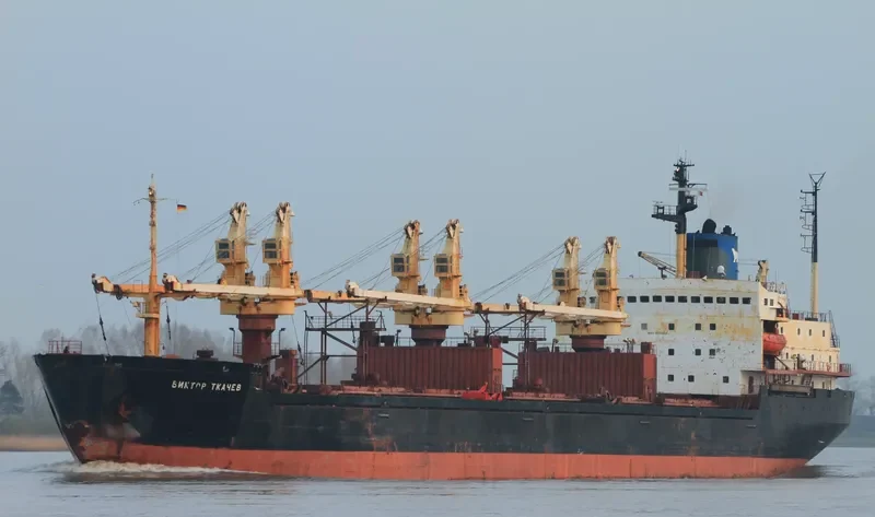 CHARM Bulk Carrier IMO 8131934 photo 5