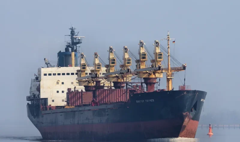 CHARM Bulk Carrier IMO 8131934 photo 8
