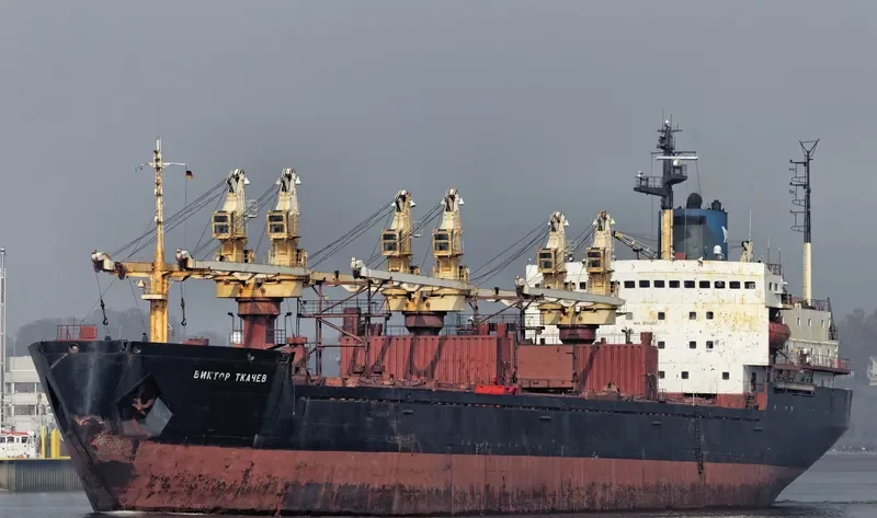 CHARM Bulk Carrier IMO 8131934 photo 9