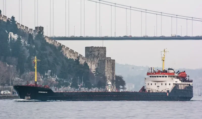 SORMOVSKIY 45 General Cargo IMO 8133566 photo 3