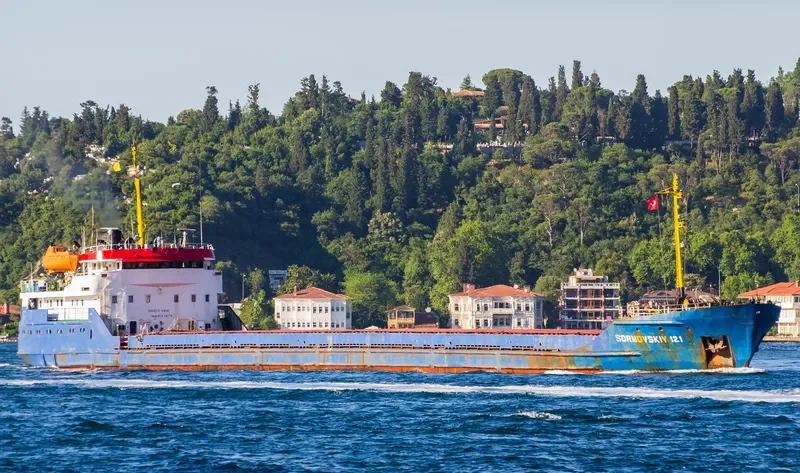 SORMOVSKIY 121 General Cargo IMO 8133578 photo 2