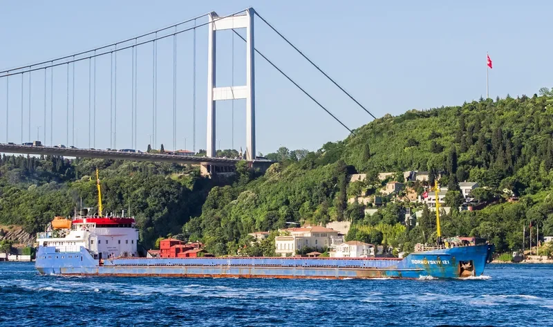 SORMOVSKIY 121 General Cargo IMO 8133578 photo 3