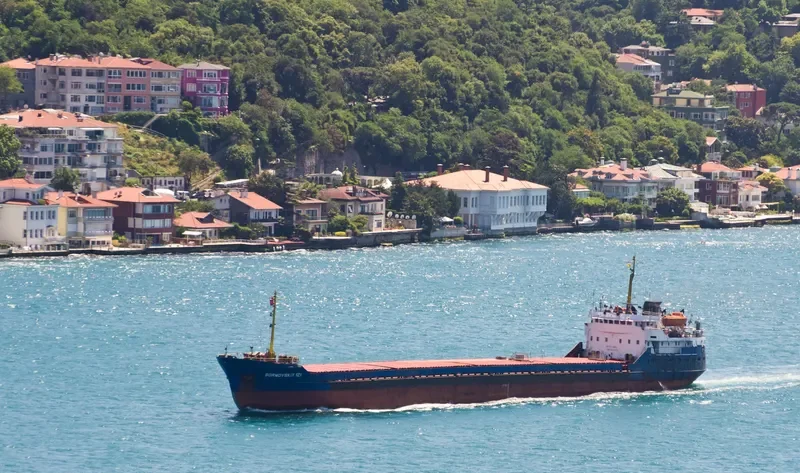 SORMOVSKIY 121 General Cargo IMO 8133578 photo 4