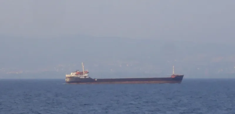 SORMOVSKIY 121 General Cargo IMO 8133578 photo 5