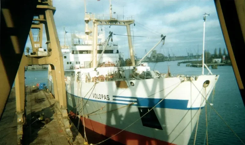 PILOT WHALE General Cargo IMO 8134986 photo 2