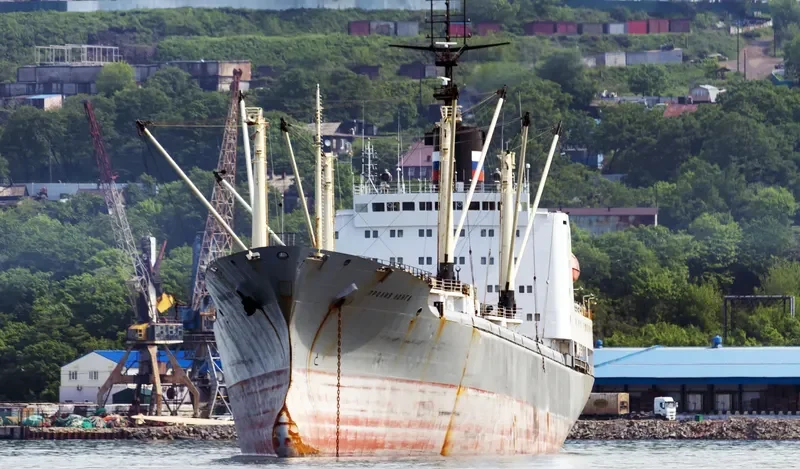PROLIV LONGA General Cargo IMO 8136740 photo 6