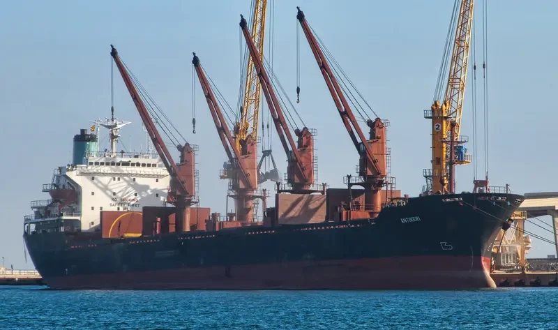 ARIADNE Bulk Carrier IMO 8200503