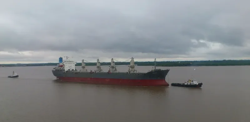 ARIADNE Bulk Carrier IMO 8200503 photo 2