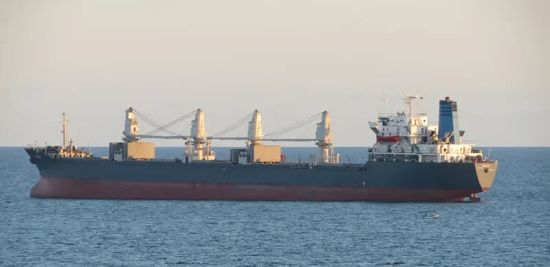 ARIADNE Bulk Carrier IMO 8200503 photo 3