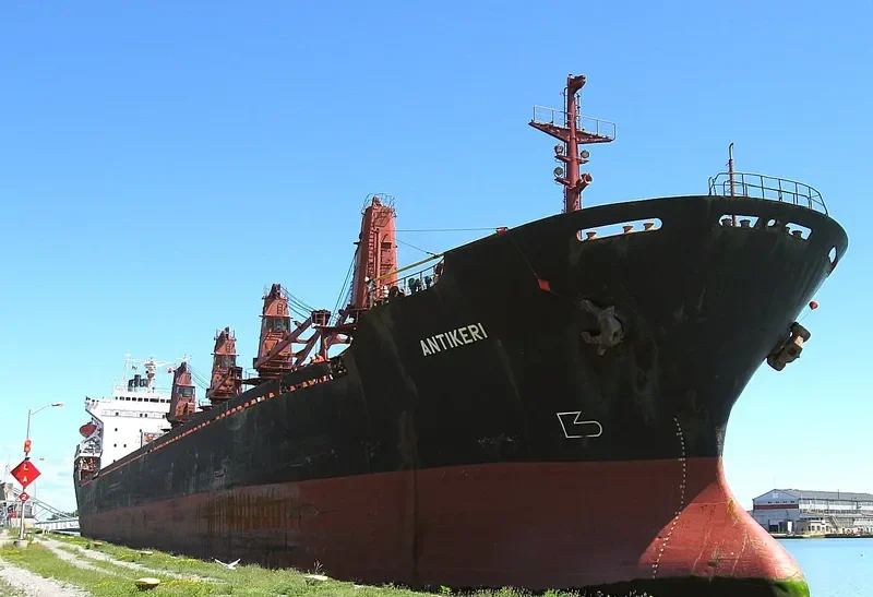 ARIADNE Bulk Carrier IMO 8200503 photo 6