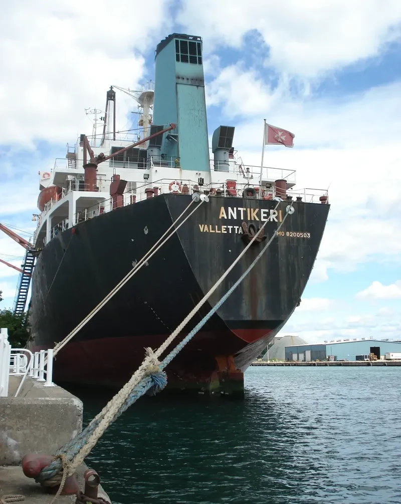 ARIADNE Bulk Carrier IMO 8200503 photo 8
