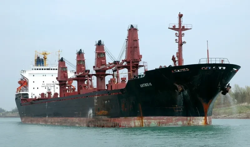 ARIADNE Bulk Carrier IMO 8200503 photo 10