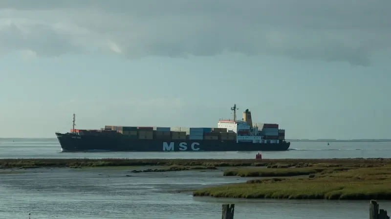 MSC IRIS Container Ship IMO 8201624 photo 3