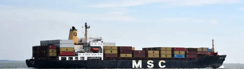 MSC IRIS Container Ship IMO 8201624 photo 5