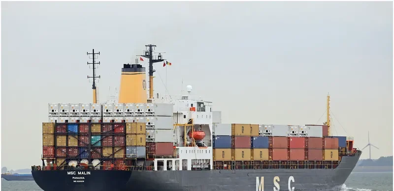MSC MALIN Container Ship IMO 8201636 photo 3