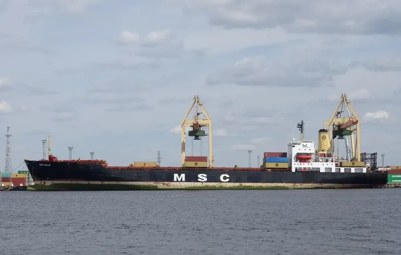 MSC MALIN Container Ship IMO 8201636 photo 5