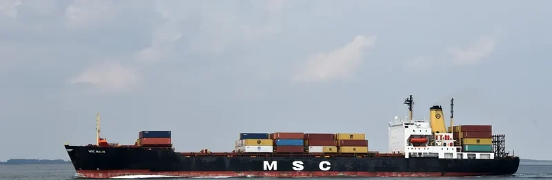 MSC MALIN Container Ship IMO 8201636 photo 8