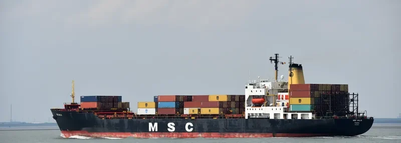 MSC MALIN Container Ship IMO 8201636 photo 9