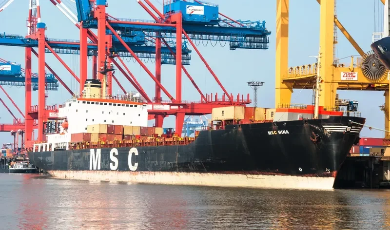 MSC HINA Container Ship IMO 8201686 photo 2