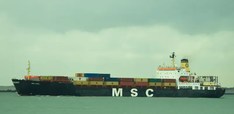 MSC HINA Container Ship IMO 8201686 photo 3