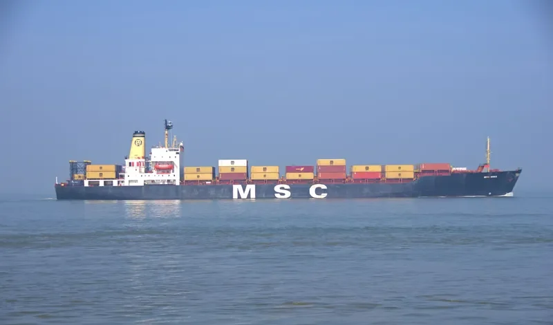 MSC HINA Container Ship IMO 8201686 photo 6