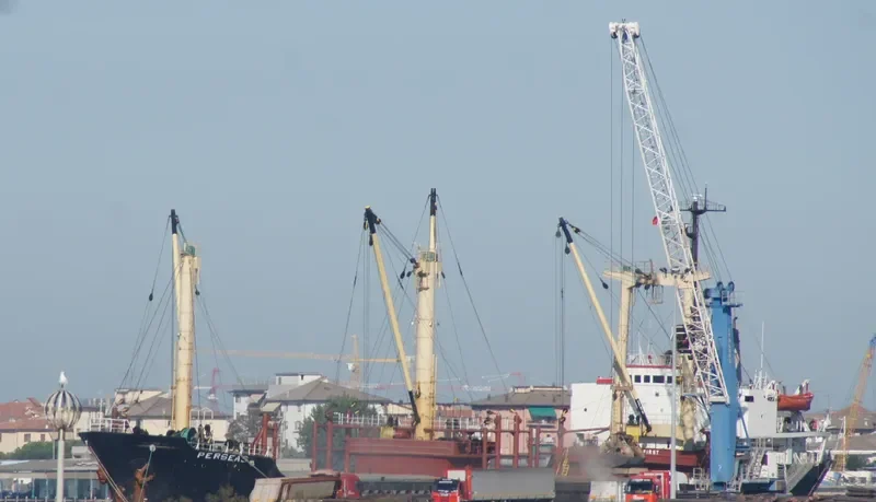 WIND FORCE General Cargo IMO 8201882 photo 3