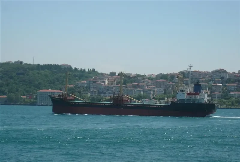 WIND FORCE General Cargo IMO 8201882 photo 5