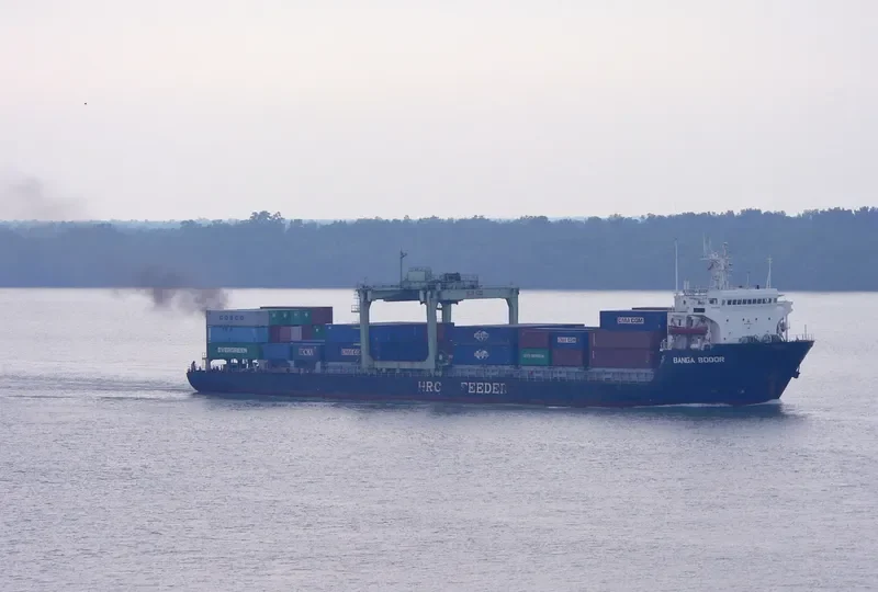 BANGA BODOR Container Ship IMO 8201923 photo 2
