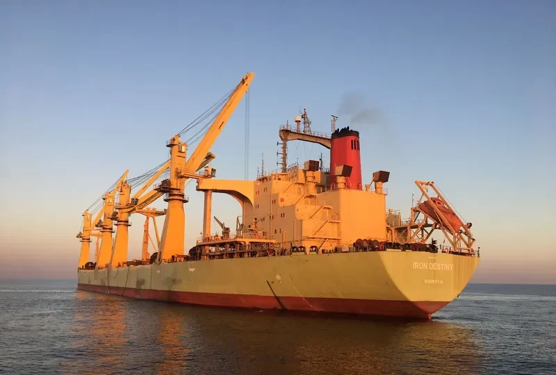 IRON DESTINY Bulk Carrier IMO 8202018